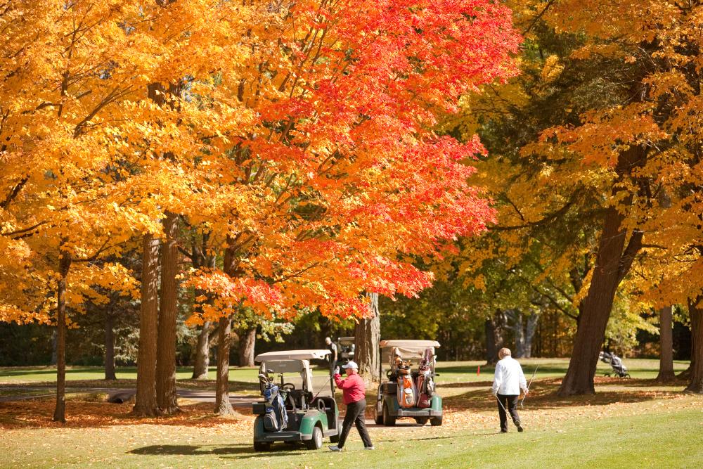fall golfing at the Briars